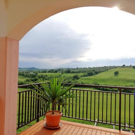 Agriturismo Podere Verdicchio Скансано Екстер'єр фото