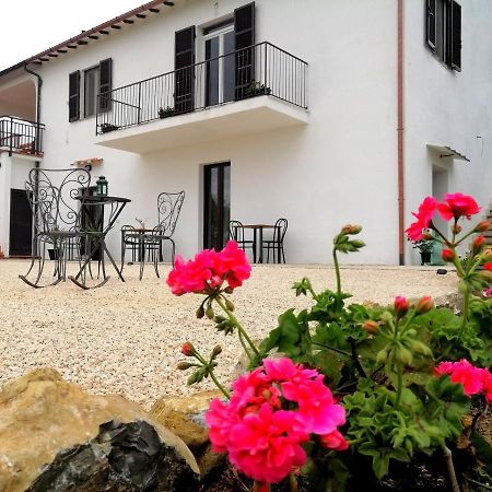 Agriturismo Podere Verdicchio Скансано Екстер'єр фото