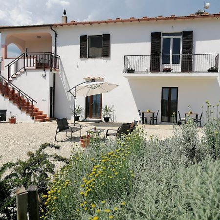 Agriturismo Podere Verdicchio Скансано Екстер'єр фото
