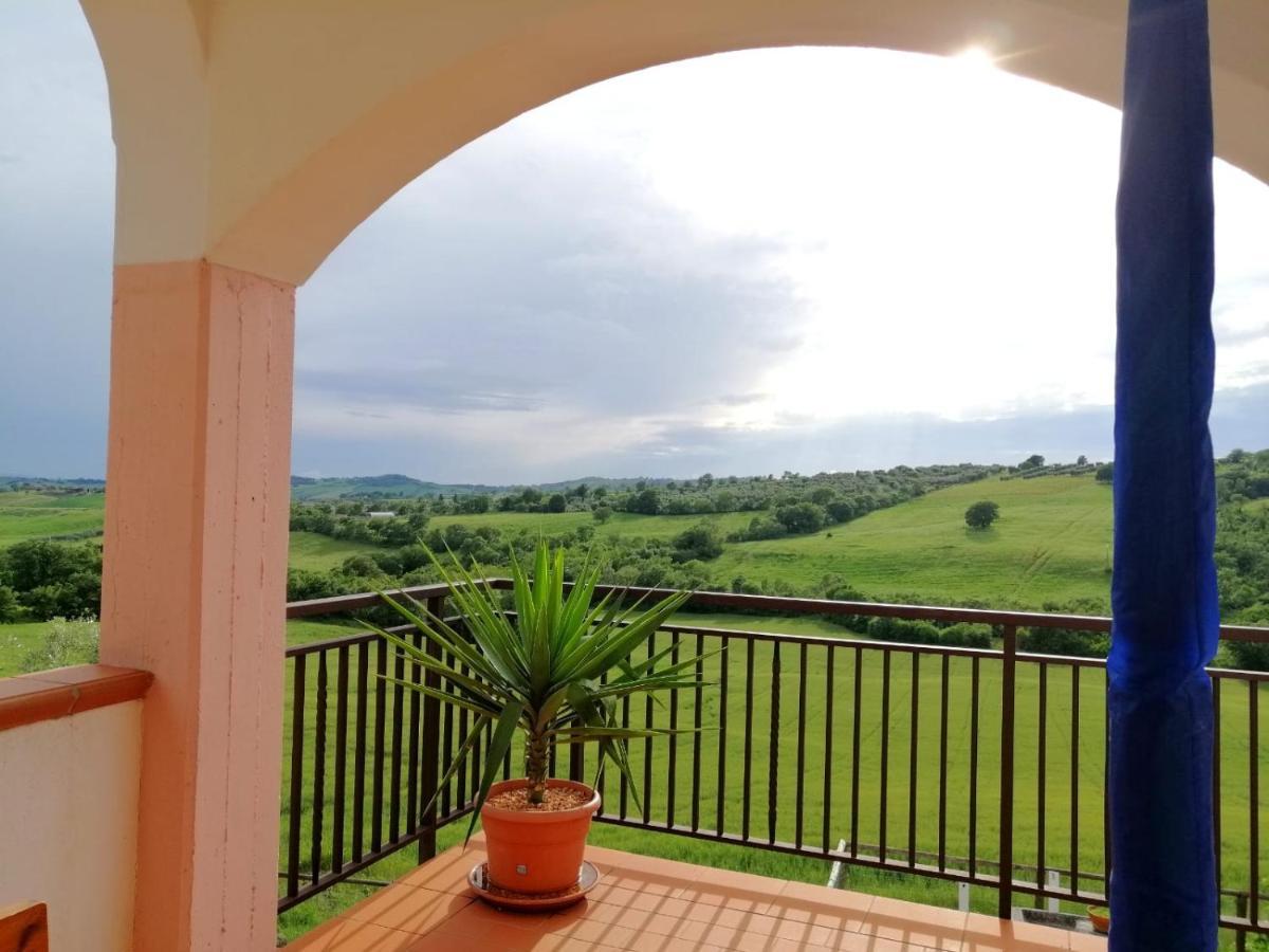 Agriturismo Podere Verdicchio Скансано Екстер'єр фото