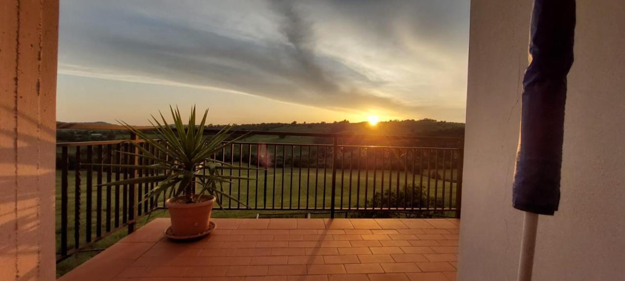 Agriturismo Podere Verdicchio Скансано Екстер'єр фото