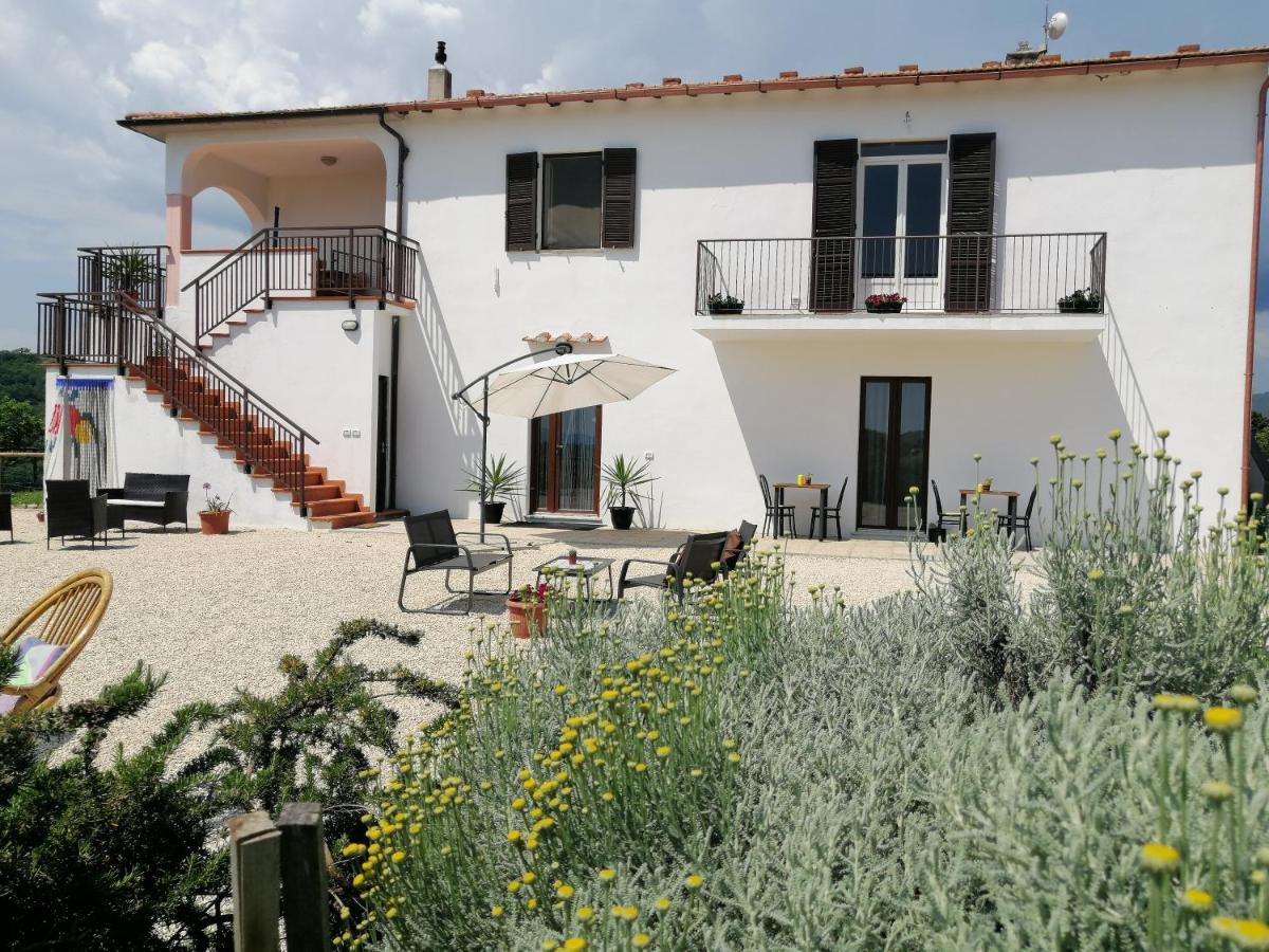 Agriturismo Podere Verdicchio Скансано Екстер'єр фото