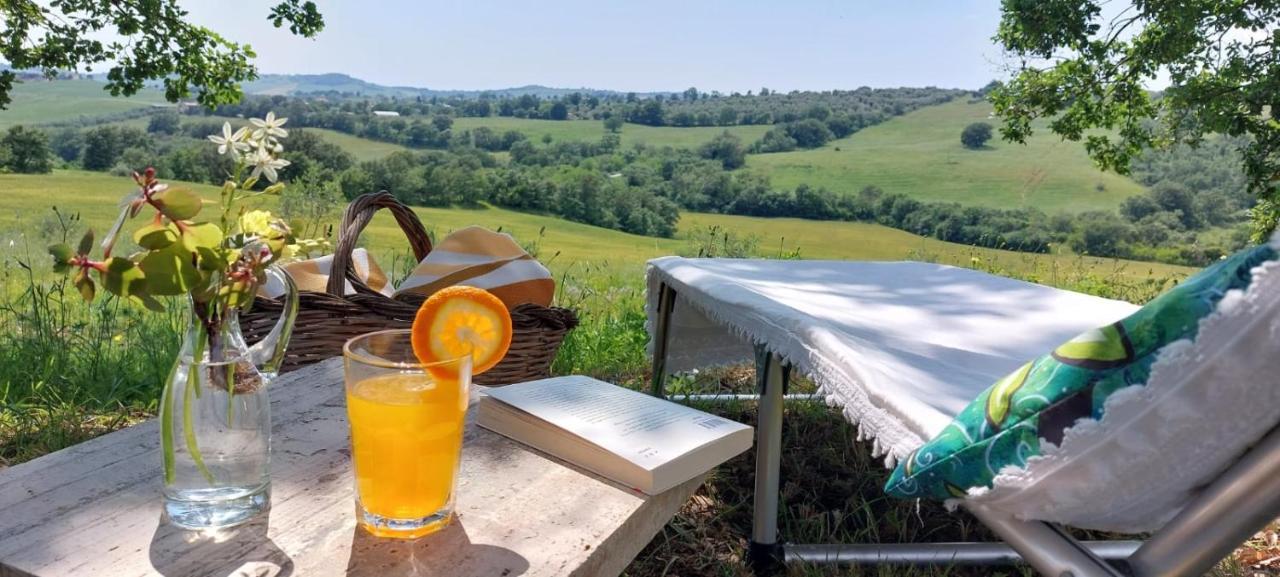 Agriturismo Podere Verdicchio Скансано Екстер'єр фото