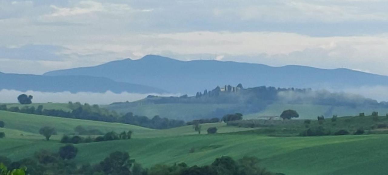 Agriturismo Podere Verdicchio Скансано Екстер'єр фото